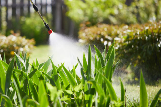 24/7 Emergency Mosquito Control experts in Kiefer, OK
