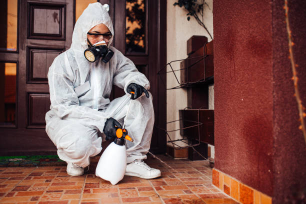 Reliable Mosquito Control contractor in Kiefer, OK by Show Me Pest Control